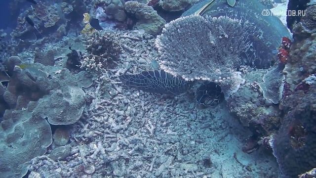 5 самых веселых людей по знаку Зодиака