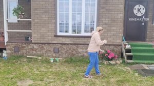 Новинки в саду/Махровый жасмин,роза парковая и роза жасмина