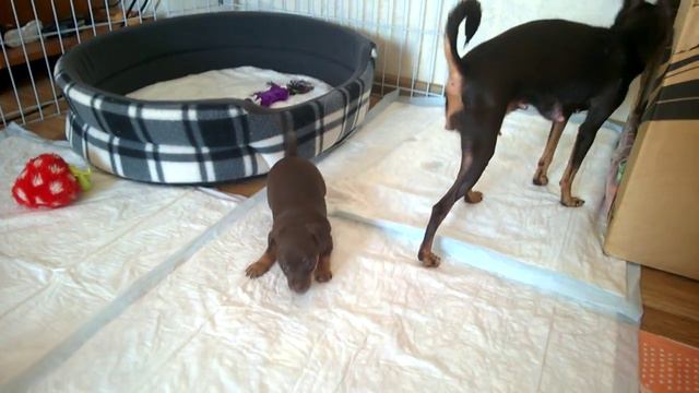 WP 20150705 012 смотреть онлайн