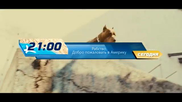 25 Рабство  Добро пожаловать в Америку Сегодня