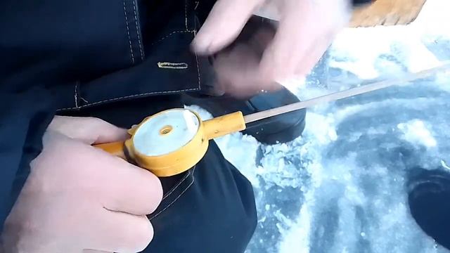 Зимняя рыбалка?️