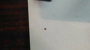 Микросборки СССР часть 2 - золото и палладий в электронных компонентах.