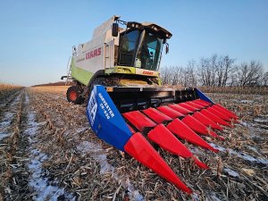 Процесс испытаний кукурузной жатки Harvester CR-800 от Энергон Агро!