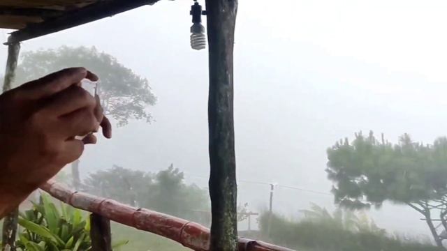 El regreso del Tercel Turbo!! mejor que Nunca | Dynamic Garage смотреть онлайн