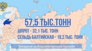 Российские рыбаки выловили более 3,8 млн тонн рыбы – на 12,5% выше уровня прошлого года