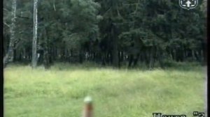 Стрельба из боевого оружия. Правила прицеливания с автомата (АК).