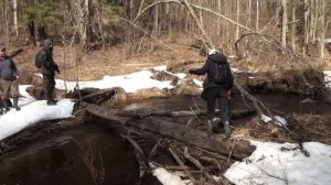 Таких огромных и крепких домов я ещё не видела. Заброшенные дома в лесу. Заброшенные деревни.