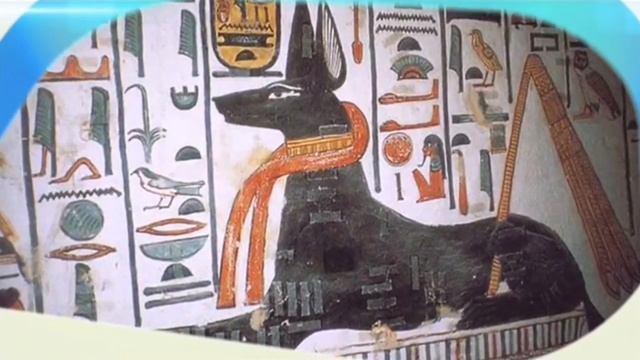 Фараонова собака! Древнейшая любимица египетских правителей! смотреть онлайн