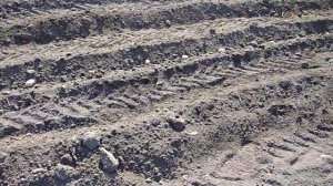 Посадка картошки мотоблоком с дисковым окучником.