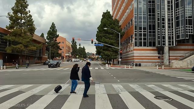 [4K] LOS ANGELES - Driving Wilshire Boulevard from Santa Monica to Westwood, Los Angeles, Californi смотреть онлайн