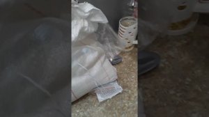 Цитрат магния недорого