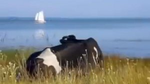 Песня - притча: " Богатый или бедный"? Светлана Копылова.