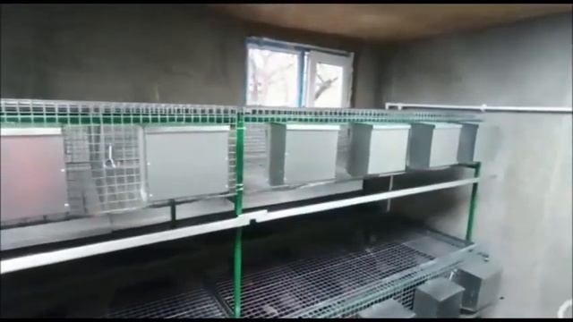Семейная миниферма кроликов.