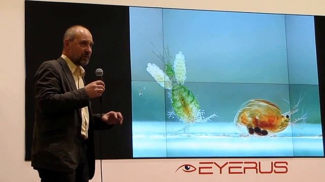 Жизнь в воде, насекомые, Владимир Карцев часть-1 смотреть онлайн