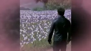 Наша неполная история, песня "дыши сомной"