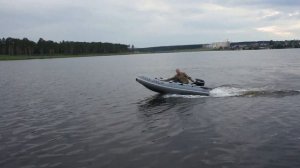 Лодка Фрегат 310 М и мотор Mercury F5M
