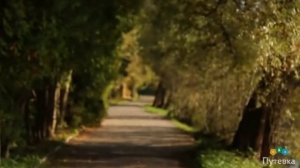 Санаторий Солнечногорский (Московская область, Солнечногорский район, п/о Гришино)