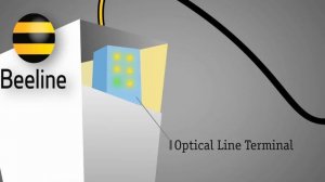 Как проводится интернет Билайн в ваш дом
