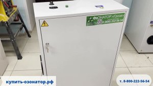 Новый озонатор мощность 100 г. озона в час