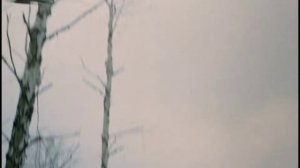 История Кровавого барона и Хелены Равенкло