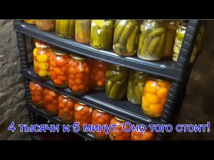 Вечный не сгнивающий стеллаж  (полки) в погреб, подвал, гараж, подпол. За 400 тысяч и 5 минут. РЕК!!