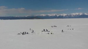 Зимняя рыбалка на Чивыркуйском заливе (озеро Байкал)