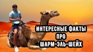 ИНТЕРЕСНЫЕ ФАКТЫ ПРО ШАРМ-ЭЛЬ-ШЕЙХ