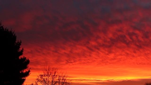 Когда-нибудь меня не станет смотреть онлайн