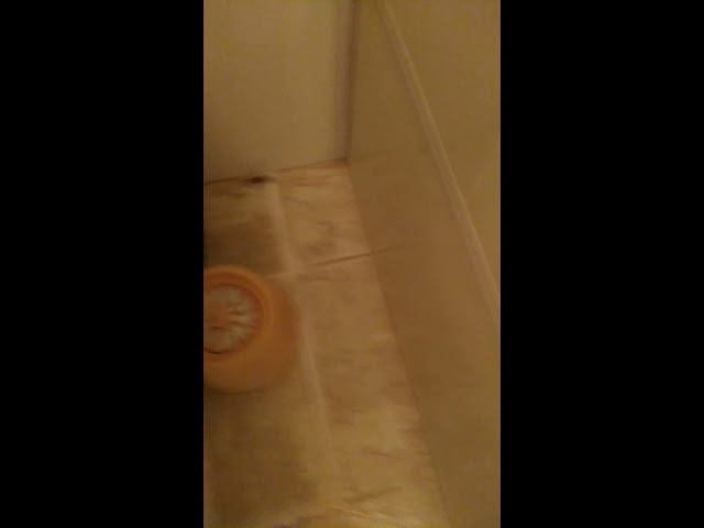 Сосед по номеру смотреть онлайн