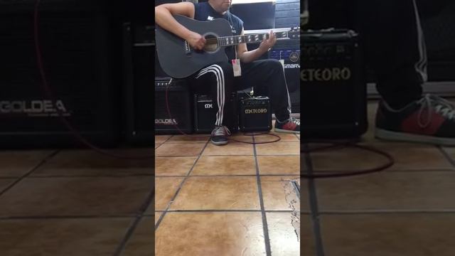 Prueba de sonido de la Guitarra McCartney BFG 4117CEQ4