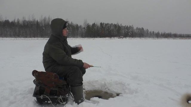 Первый лёд 2021! Рыбалка и первые щуки, сезон открыт. Рыбалка в Коми! смотреть онлайн