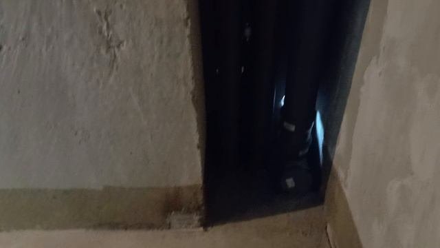 VID_20240516_142904