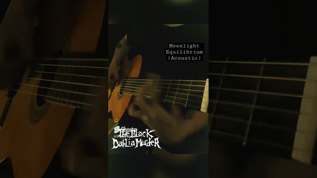 The Black Dahlia Murder - Moonlight equilibrium (acoustic guitar cover)