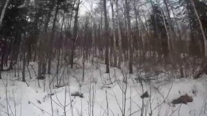 Рыбалка река Самарга. Поездка на север Приморья за самый большой рыбой.