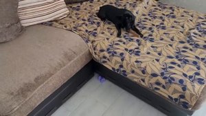 Переехали в Россию \ Вот это другой вид теперь \ Как меняется наш дом