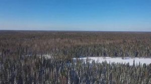 ✅ Красивая Зимняя Тайга с высоты птичьего полета.