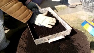 Как приготовить грунт для цитрусовых