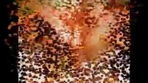 Авторская песня  "Осенний вальс" Алексей Тараев