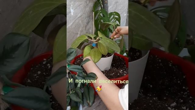 /Как провести выходные с пользой?!/??