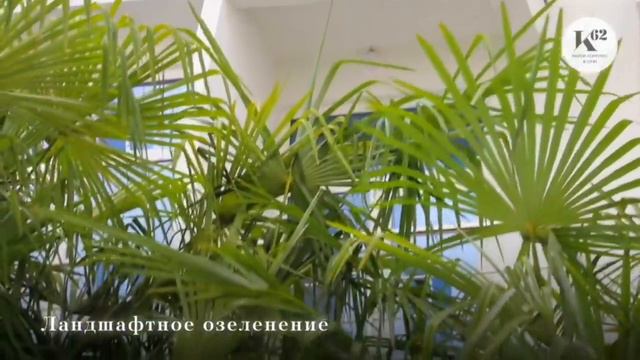 🏖ЖК КЛУБНИЧНАЯ 62 (г. Сочи)🍓