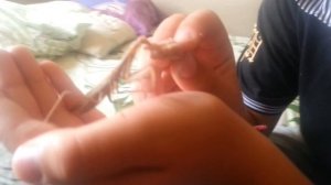 Багамол #3 Кусается Зараза !!!