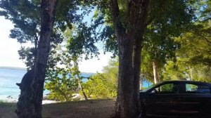 Куба. Ольгин. Сафари парк (экскурсия)(4)