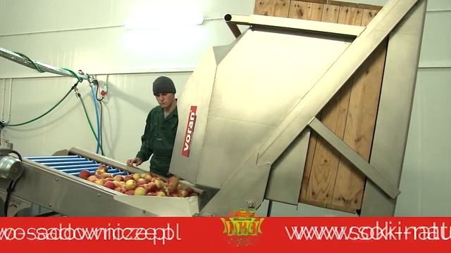 КАЛИБРОВКА ЯБЛОК, МАШИНА ДЛЯ КАЛИБРОВКИ ЯБЛОК, ЛИНИЯ ДЛЯ СОРТИРОВКИ ЯБЛОК