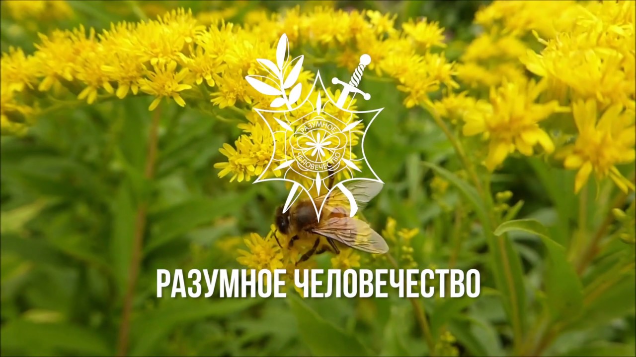 Секреты Медицинских Технологий 22 Века | Часть 2