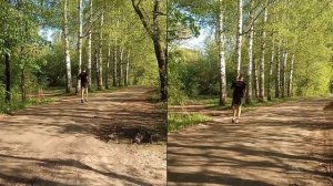 Скачки свободные на одной ноге за счет естественной упругости сухожилий при минимальной работе мышц