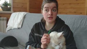 Как вытащить КЛЕЩА из животного или человека? How to Remove a tick