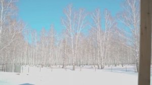 Обзор дома в березовой роще из Ка-Панели 110кв.м с гаражем 28.04.2021г.