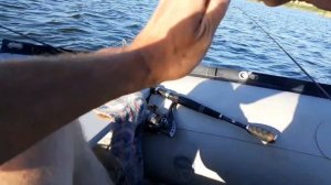 Рыбалка летом на спиннинг с лодки. Ловля окуней на спиннинг.