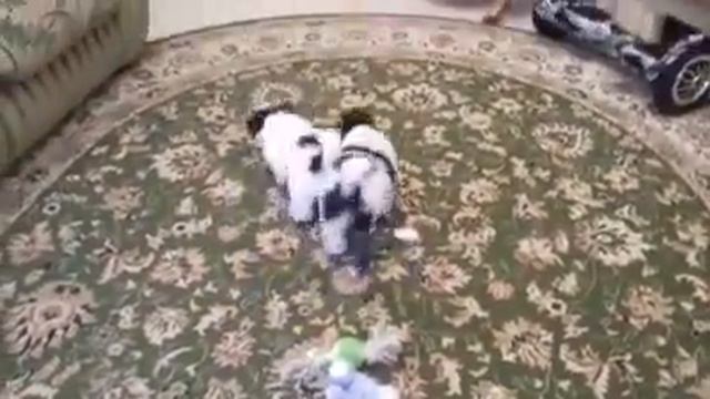 Мальчик и девочка Лели и Космоса смотреть онлайн