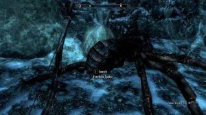 Skyrim SE SPG p40